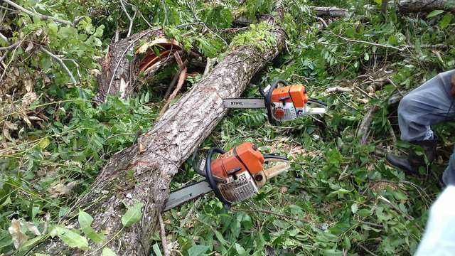 How To Keep Chainsaw From Getting Stuck