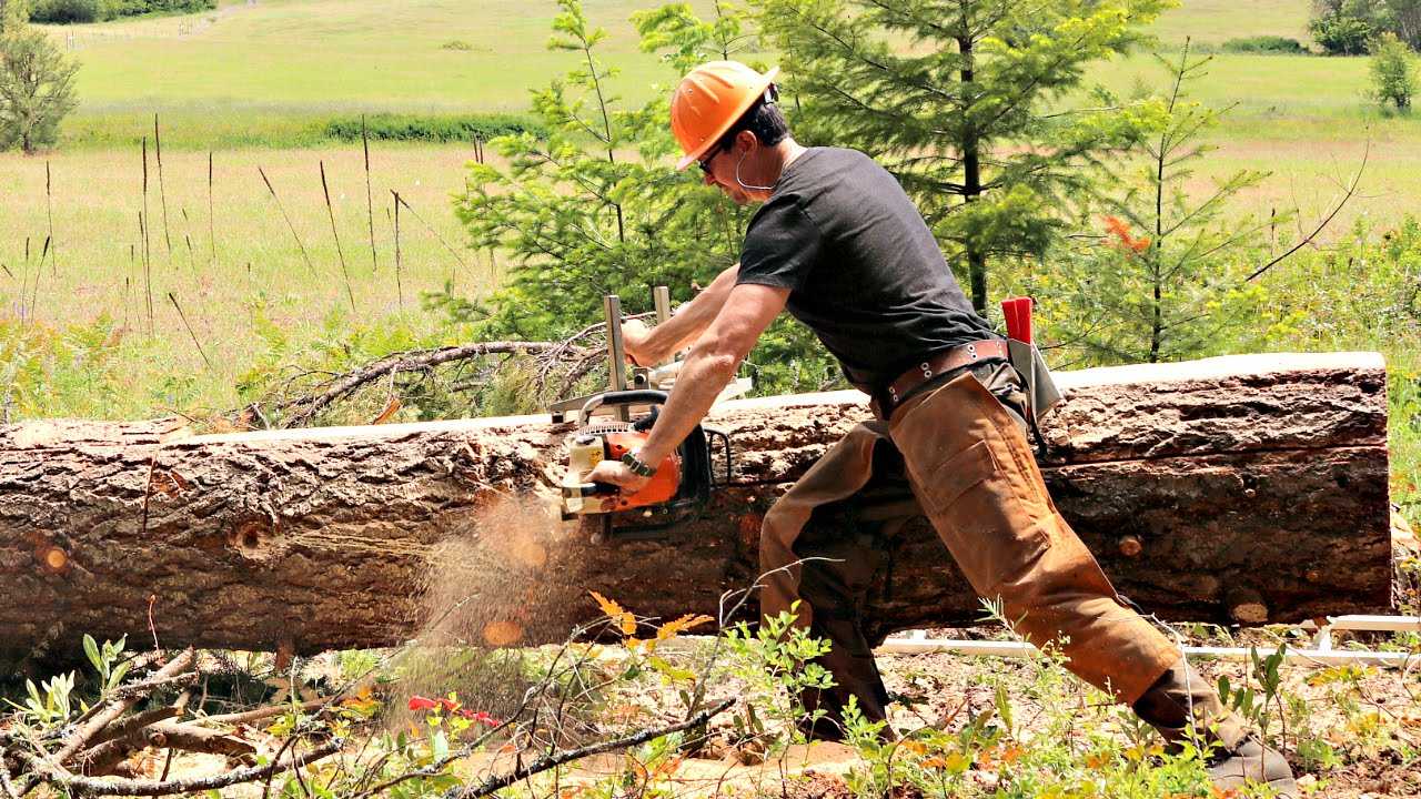 How To Use A Chainsaw