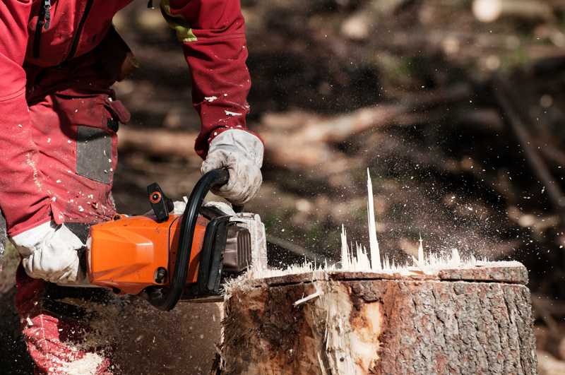 how to remove a stump with a chainsaw