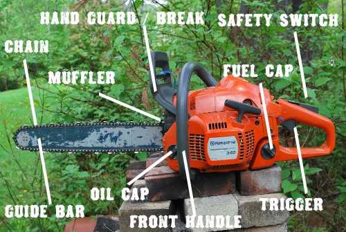 How to Maintain Your Chainsaw and Keep it Cutting