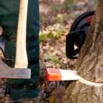How To Use A Felling Wedge When Cutting Down a Tree