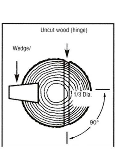 How To Use A Felling Wedge When Cutting Down a Tree - Electric Chainsaw ...