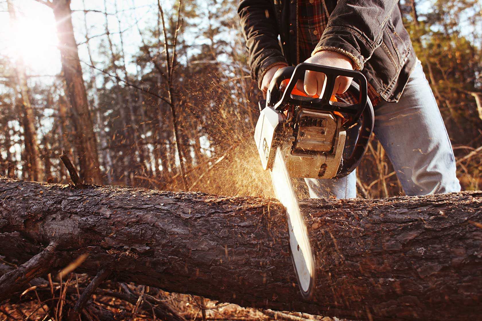things you should know before you buy a chainsaw